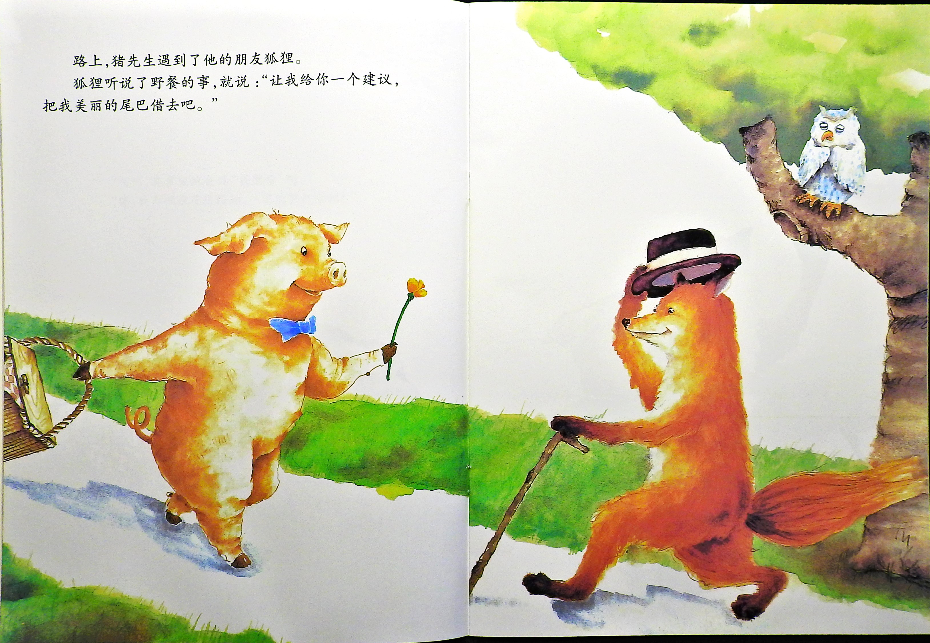 猪先生去野餐 (06),绘本,绘本故事,绘本阅读,故事书,童书,图画书,课外阅读